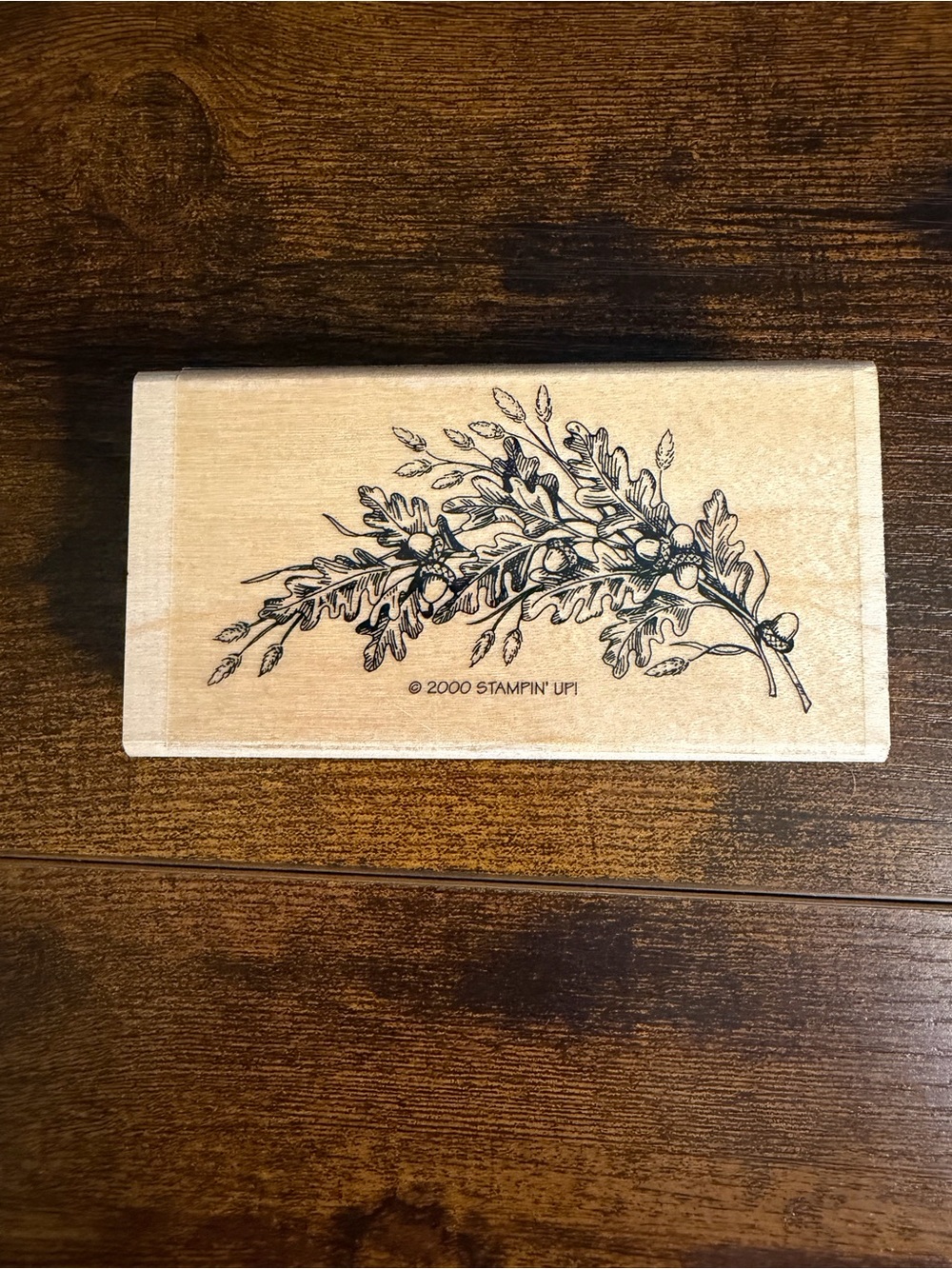 Stampin' Up! Wood-Mounted Botanical Branch Stamp